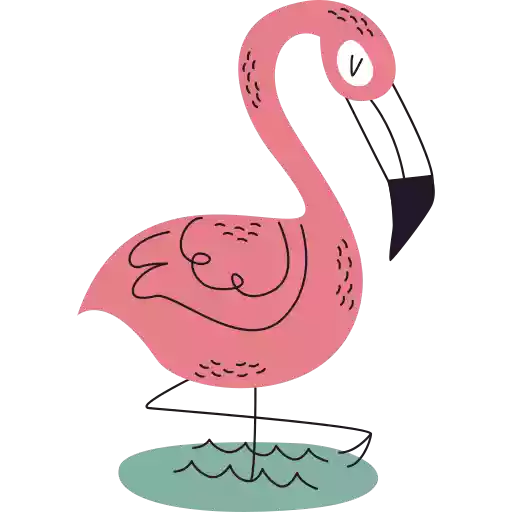 فلامینگو flamingo