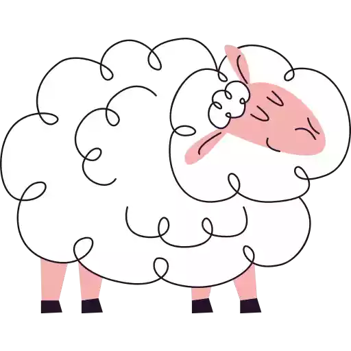 گوسفند sheep