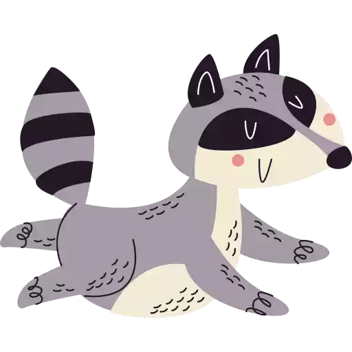 راکون raccoon