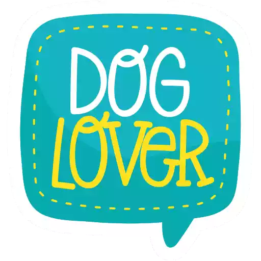 عاشق سگ dog lover