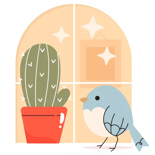 پنجره, پنجره