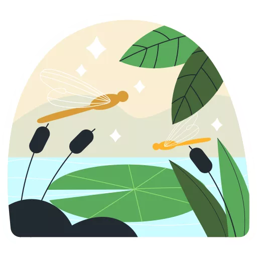 سنجاقک,آبپران