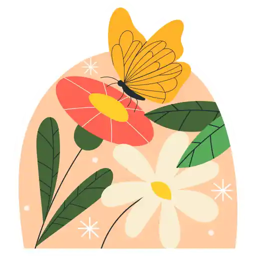 پروانه