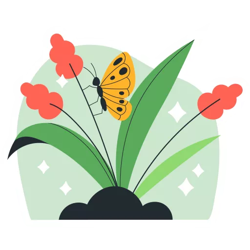 طبیعت, طبیعت