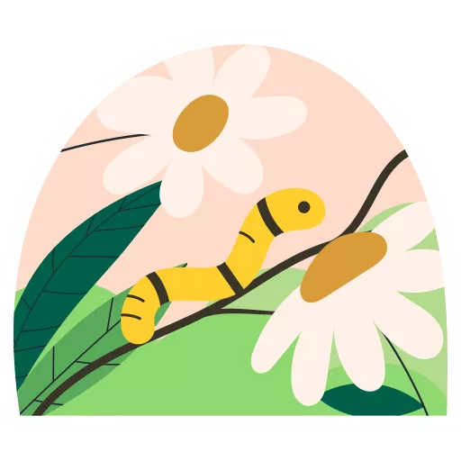 گل‌ها,گلها