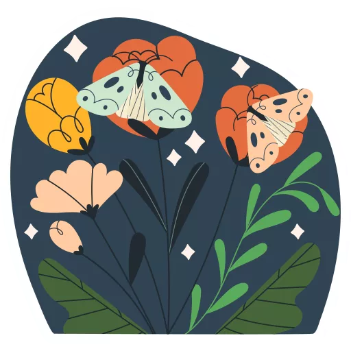 گل‌ها,گلها