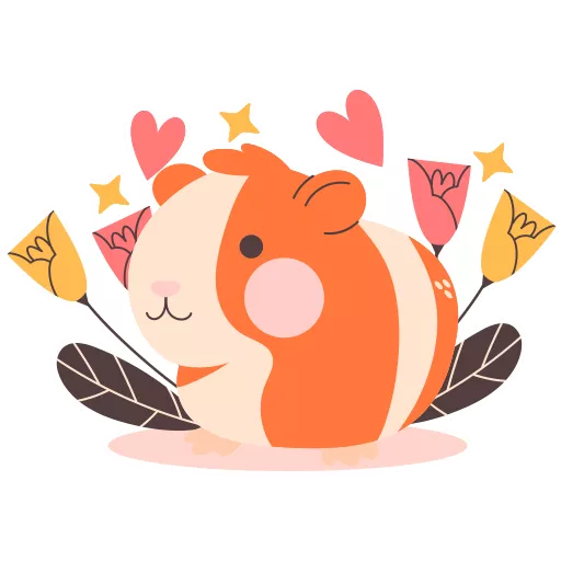 خوک هندی,خوکچه هندی