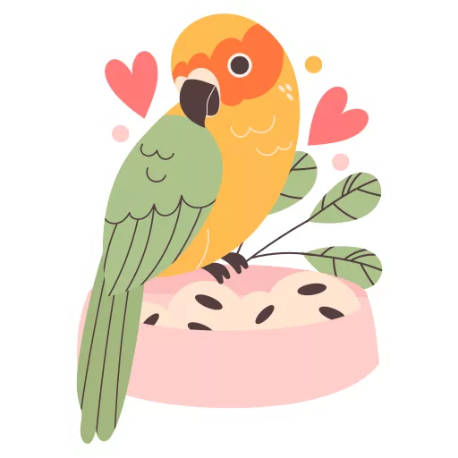 طوطی,پروانه