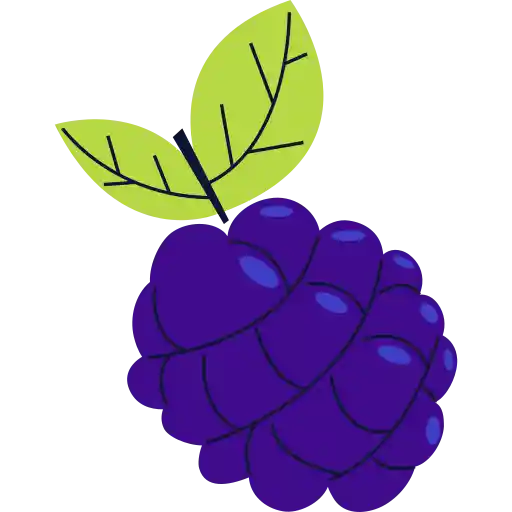 تمشک,بلوبری blackberry