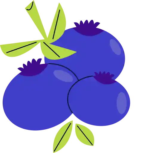 توت‌ها,میوه‌ها berries