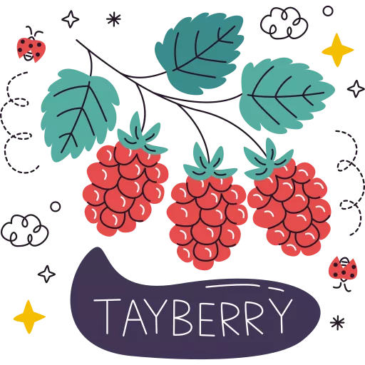 توت فرنگی,تمشک