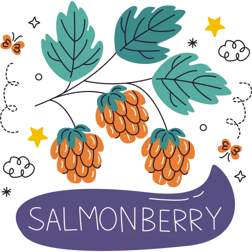 تمشک,توت وحشی