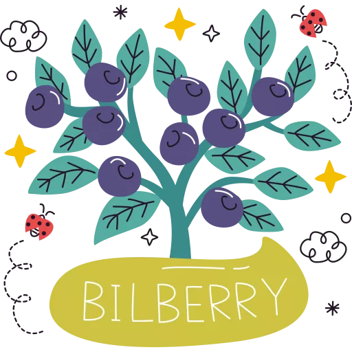 تمشک,قره قاط