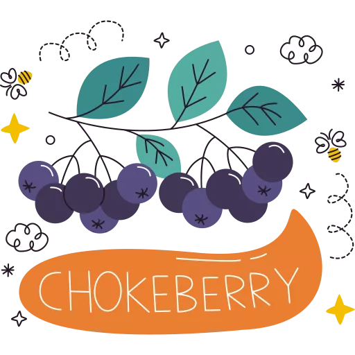 زالزالک,آرونیا