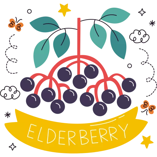 زالزالک,آقطی