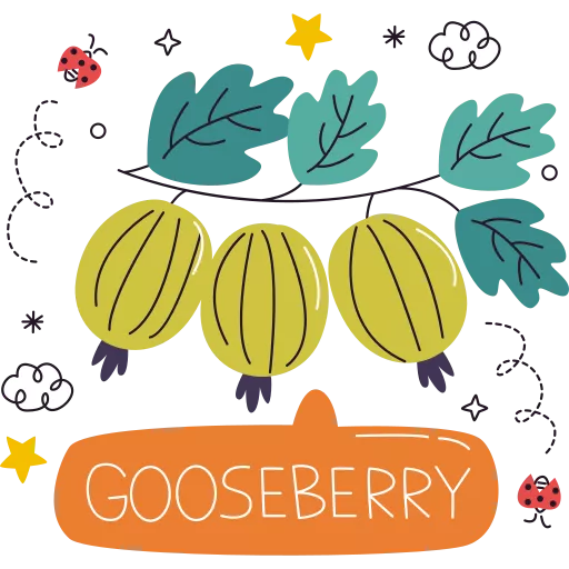 خارگیزه, انگور فرنگی