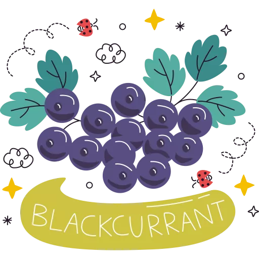 سیاه گیله,فرنگی انگور