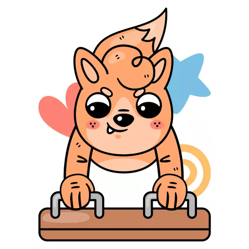 ژیمناستیک,ورزش های ژیمناستیک