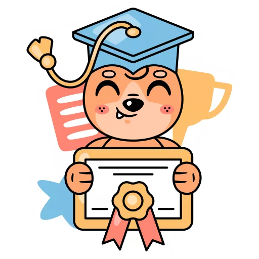 دیپلم,تحصیلات