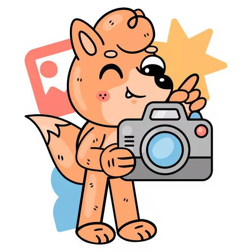 دوربین عکاسی,عکس