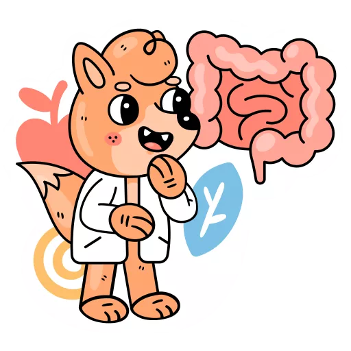 دستگاه گوارش