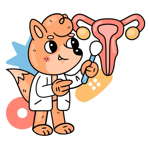 دستگاه تناسلی,سیستم تولید مثل