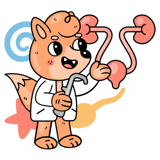 اورولوژی,پزشکی کلیه و مجاری ادرار