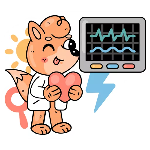 قلب,نظارت قلب