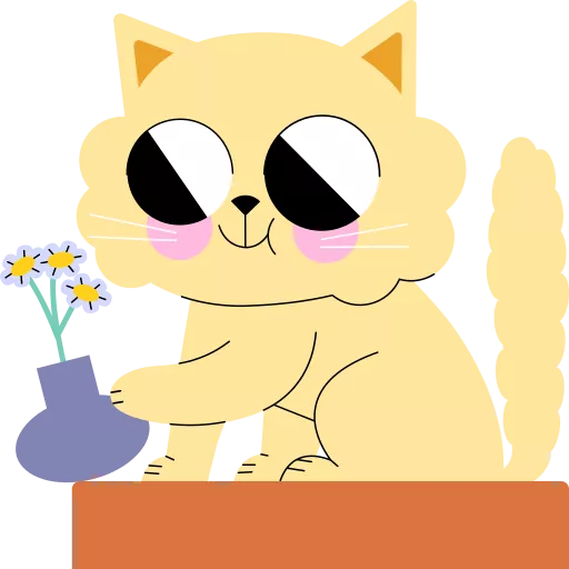 گربه,پشمالو