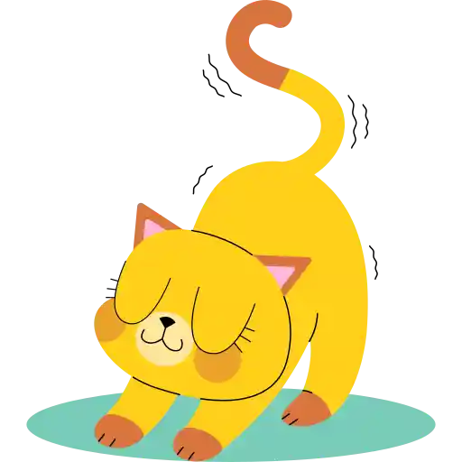 گربه