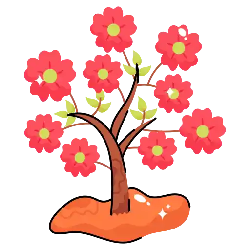 درخت