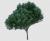 رندر فتوشاپ درخت رئال سبز رنگ با شاخ و برگ زیاد با فرمت PSD