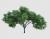 رندر فتوشاپ درخت رئال با شاخه های پهن و فرمت PSD