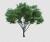 رندر فتوشاپ درخت رئال با فرمت PSD