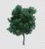 رندر فتوشاپ درخت رئال با برگ های نوک تیز و فرمت PSD