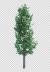 دانلود رندر فتوشاپ درخت برگ انجیری رئال با کیفیت فوق العاده