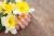 عکس رایگان با کیفیت از گل نرگس به همراه دست خانم مناسب برای تصویر زمینه