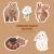 وکتور رایگان و لایه باز کودکانه حیوانات شامل خرگوش و خرس و روباه و سنجاب فایل EPS لایه باز