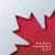 وکتور EPS جشن روز کانادا به همراه پرجم کشور کانادا 25106