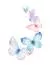 وکتور EPS تاج گل پروانه های آبرنگی روی پس زمینه سفید 25967