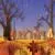 وکتور هنری پاییز به سبک کاغذی منظره پاییزی در شب با خانواده آهو در جنگل درختان و برگ های زیبا 21945