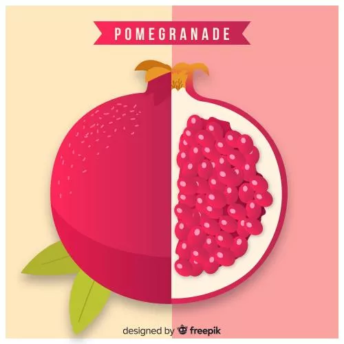 وکتور EPS و Ai مناسب شب یلدا شامل انار قرمز به صورت لایه باز  24464