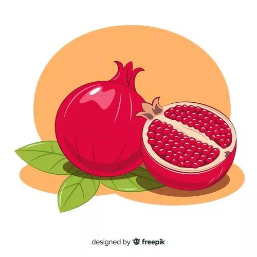 وکتور EPS و Ai مناسب شب یلدا شامل انار به صورت لایه باز  24486