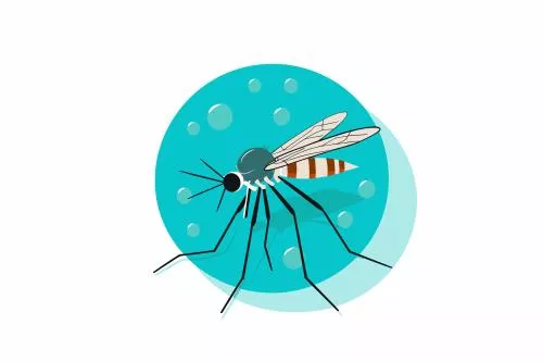 وکتور EPS وکتور آیکون مسطح پشه در حال پرواز روی پس زمینه آبی 26548