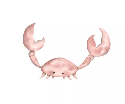 وکتور EPS تصویرسازی آبرنگ دستی دریا با حیوانات خرچنگ در دنیای زیر آب 27156