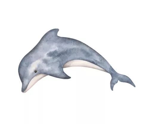وکتور EPS تصویرسازی آبرنگ دست‌ساز از دنیای زیر آب با دلفین 27157