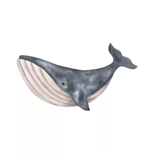 وکتور EPS تصویرسازی آبرنگ دستی از دنیای زیر آب با حیوانات نهنگ 27163