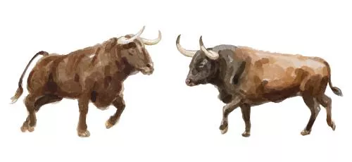 وکتور EPS مجموعه آبرنگ لوگوی گاو نر 27170