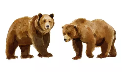 وکتور EPS مجموعه آبرنگ لوگو خرس گریزلی 27177