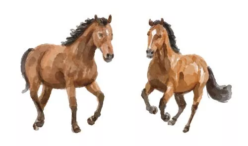 وکتور EPS مجموعه آبرنگ اسب 27178